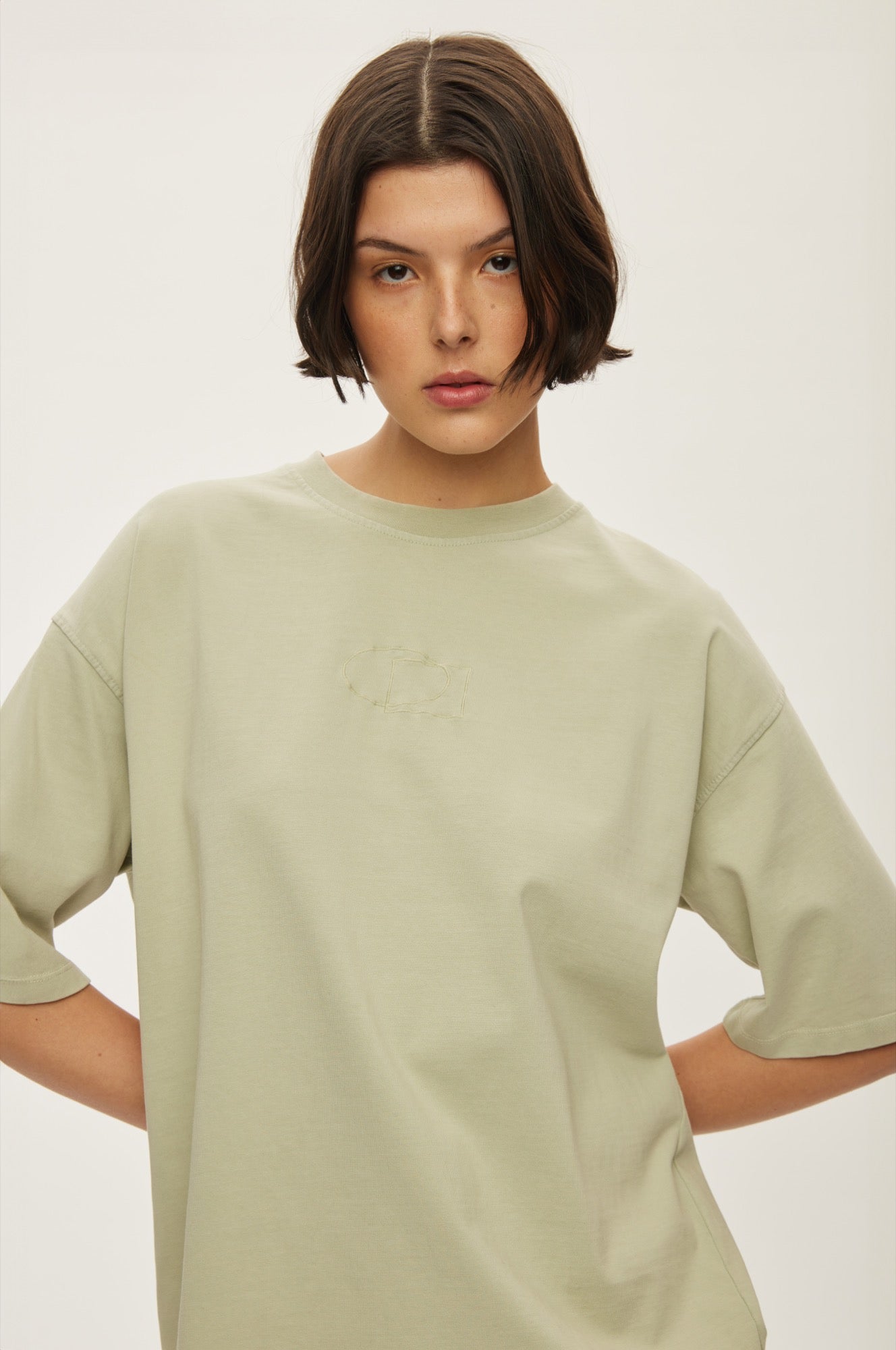 Oval Square Wash Oversized Tee TEE 4020 Desert Sage Washed
