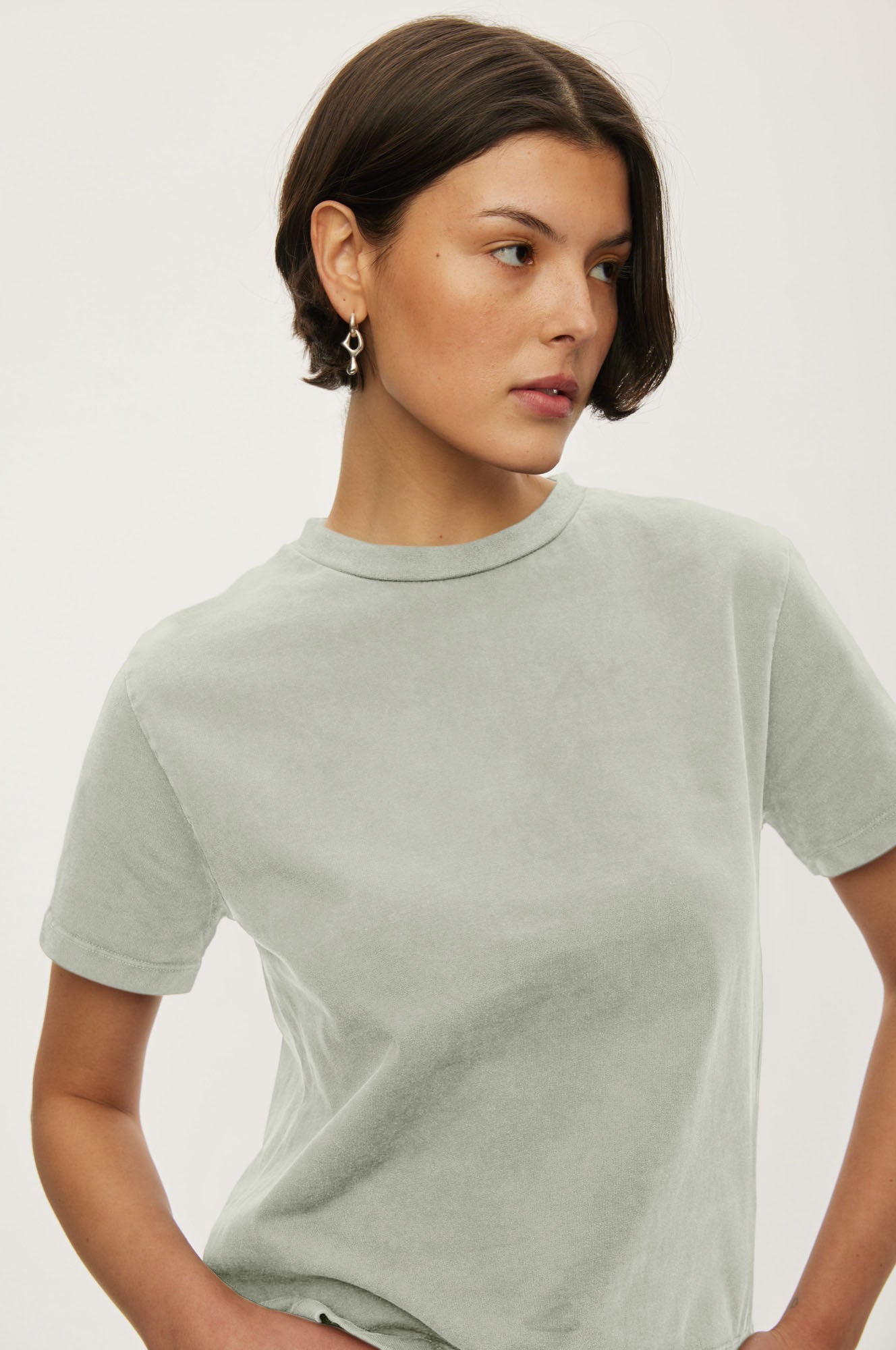 Oval Square Wash Tee TEE 4020 Desert Sage Washed