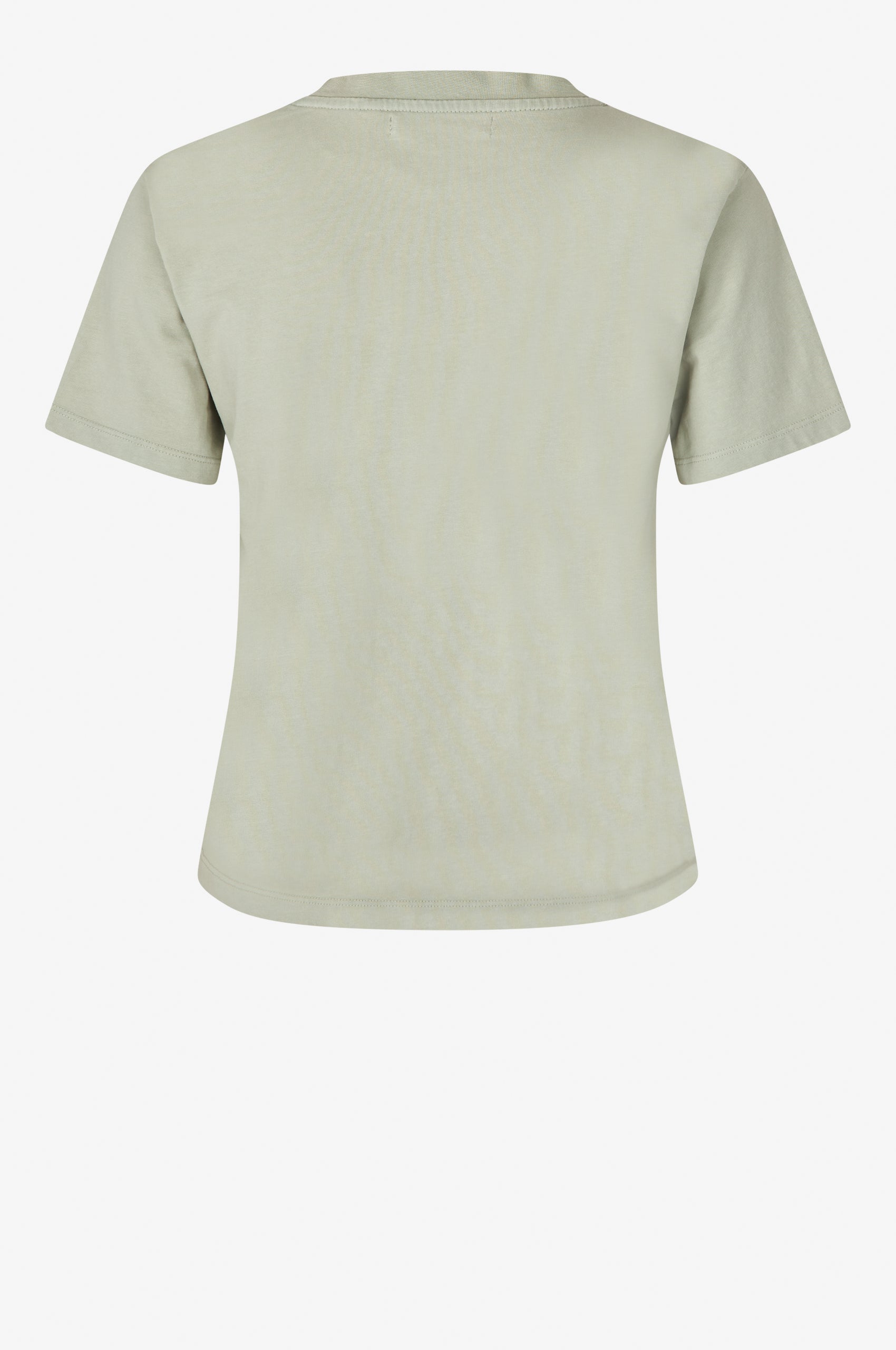 Oval Square Wash Tee TEE 4020 Desert Sage Washed